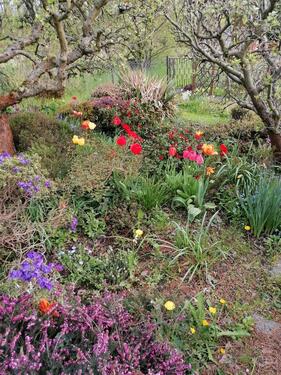 Foto - Kleingarten abzugeben - 200,00&nbsp;EUR Kaltmiete, ca.&nbsp; 0,00&nbsp;m&sup2;