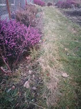 Foto - Grundst&uuml;ck zur Miete in Bautzen