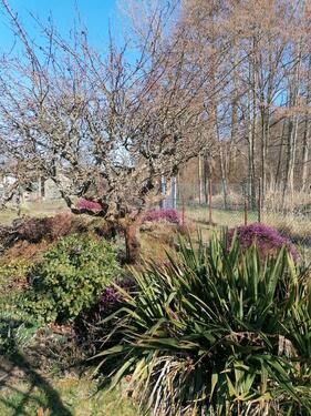 Foto - Grundst&uuml;ck in Bautzen