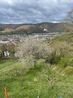 Foto - 5 Zimmer Etagenwohnung zur Miete in Lahnstein