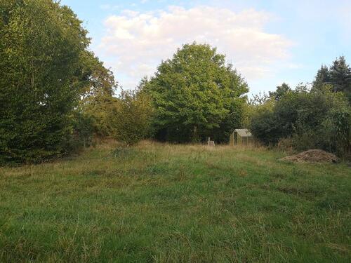 Foto - Freizeitgrundstück, Obst- und Gemüsegarten, Holzlager, Stellplatz