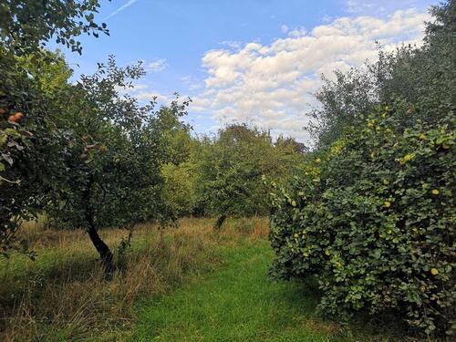Foto - Grundstück in Thedinghausen zur Miete