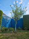Foto - Einfamilienhaus in Kleve