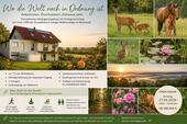 Foto - Einfamilienhaus zum Kaufen in Mossautal