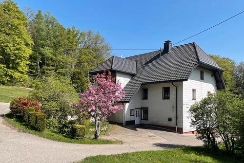 Foto - Einfamilienhaus in Dachsberg (Südschwarzwald) zum Kaufen