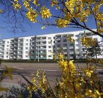 Kurzexposé 481231 - 280,00&nbsp;EUR Kaltmiete, ca.&nbsp; 27,20&nbsp;m&sup2; in Dessau-Roßlau (PLZ: 06842)