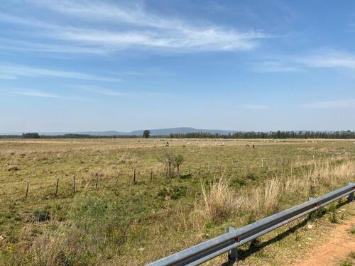 Foto - andere in Germering