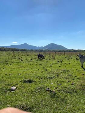 Foto - andere in Germering zur Miete