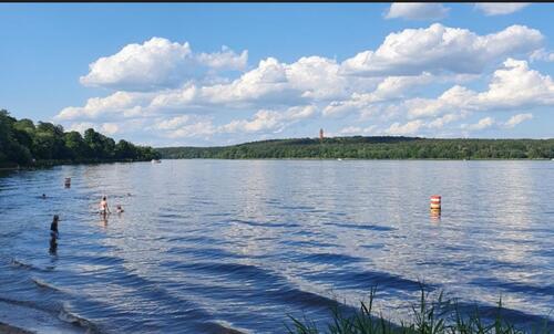 Foto - Senioren-WG oder betreutes Wohnen – Haus mit Garten