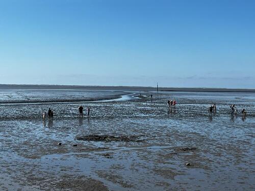 Foto - andere in Norden