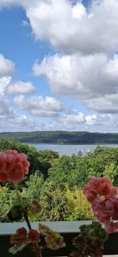 Foto - 3-Zimmer - Wohnung mit Loggia in Wald - und Seenähe