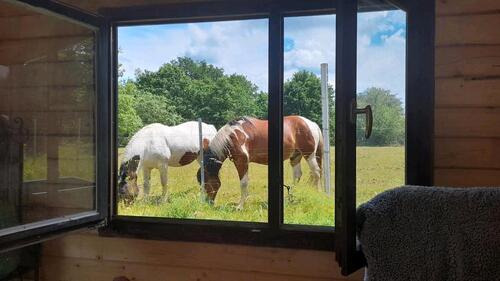 Foto - 4 Zimmer Einfamilienhaus in Saarbrücken