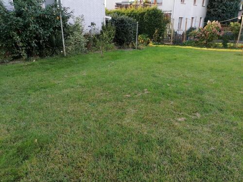 Foto - Etagenwohnung zur Miete in Springe