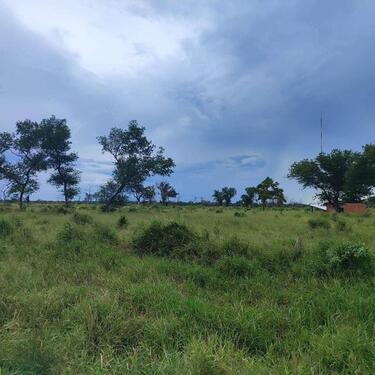 Foto - andere zur Miete in Germering