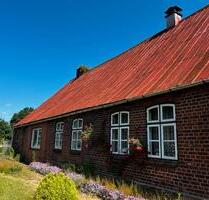 Resthof mit Hauskoppel 7900 qm - 180.000,00 EUR Kaufpreis, ca.  90,00 m² in Hohenlockstedt (PLZ: 25551)