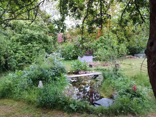 Foto - andere zur Miete in Möllenhagen