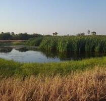 Investitionschance im Herzen Südamerikas- Paraguay - Germering