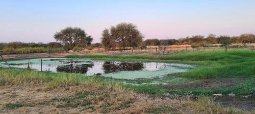 Foto - andere in Germering