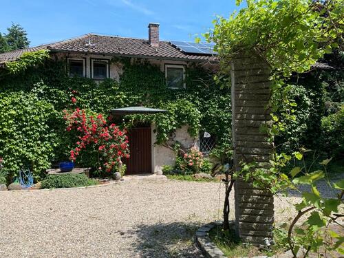 Foto - Wunderbare Büro- oder Praxisräume in verwunschener Villa