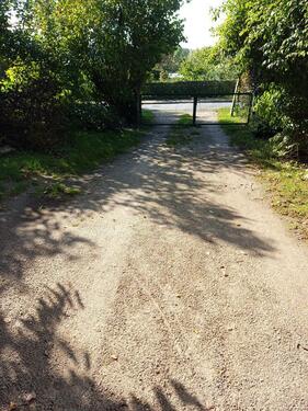 Foto - andere zur Miete in Möllenhagen