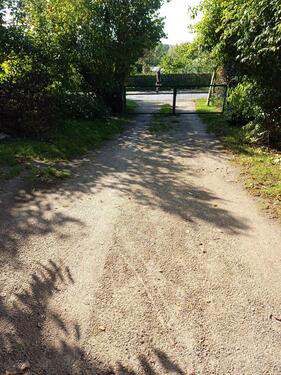 Foto - andere in Möllenhagen