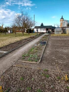 Foto - Grundst&uuml;ck zur Miete in Delitzsch