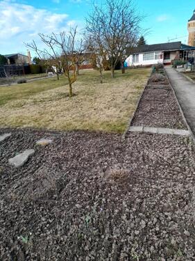 Foto - Grundst&uuml;ck in Delitzsch zur Miete