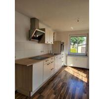 Renovierte 2-Zimmer-Wohnung mit kompletter EBK & Garten - Oberlungwitz