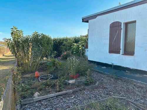 Foto - Grundst&uuml;ck zur Miete in Papendorf