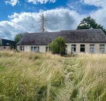 Provisionsfrei. Altes Landhaus mit 8000m2 Fläche - Ferdinandshof