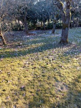 Foto - Einfamilienhaus in Creußen zur Miete