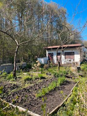 Foto - Grundst&uuml;ck zur Miete in Schwerin