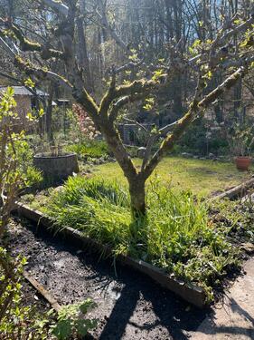 Foto - Grundst&uuml;ck in Schwerin zur Miete