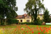 Foto - 2,5 Zimmer Wohnung mitten in der Natur