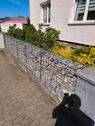 Foto - 7 Zimmer Mehrfamilienhaus, Wohnhaus zum Kaufen in Gifhorn