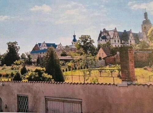 Foto - Leben im Grünen - modernes Einfamilienhaus mit großem Grundstück