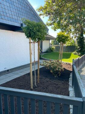 Foto - 5 Zimmer Bungalow zum Kaufen in Laatzen