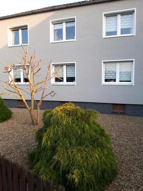 Foto - Zweifamilienhaus 150qm GifhornKästorf
