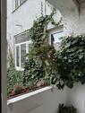 Foto - Hochparterre in Augsburg zum Kaufen