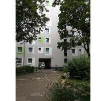 Da kommt man gern Heim. Praktisches 1-Zi.-Appartment - Köln Nippes