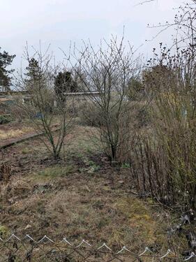 Foto - Grundst&uuml;ck zur Miete in Wettin-Löbejün