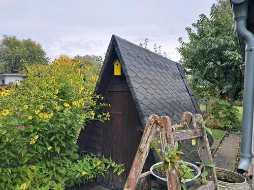 Foto - Grundst&uuml;ck in Stralsund zur Miete