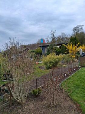 Foto - Kleingarten, Pachtgarten im KGV Karstenberg abzugeben.