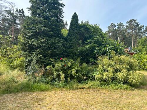 Foto - 2 Zimmer Bungalow zum Kaufen in Wolmirstedt