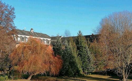 Foto - 10 Zimmer Mehrfamilienhaus, Wohnhaus zum Kaufen in Chemnitz