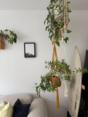 Foto - Etagenwohnung zur Miete in München
