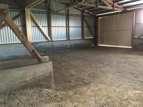 Foto - andere in Schellerten