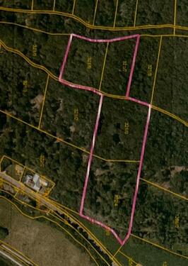 Foto - Waldgrundstück in Riedenburg, 3,1ha