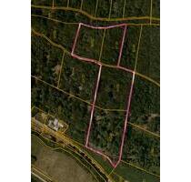 Waldgrundstück in Riedenburg, 3,1ha