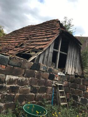 Foto - Einfamilienhaus in Sangerhausen zum Kaufen